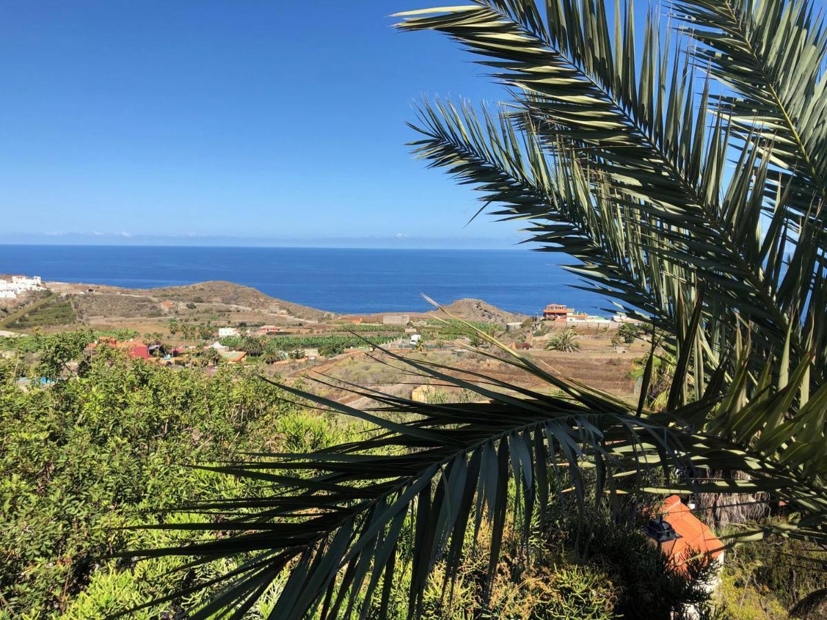 Bella Vista - Finca Tabaiba Icod De Los Vinos Dış mekan fotoğraf