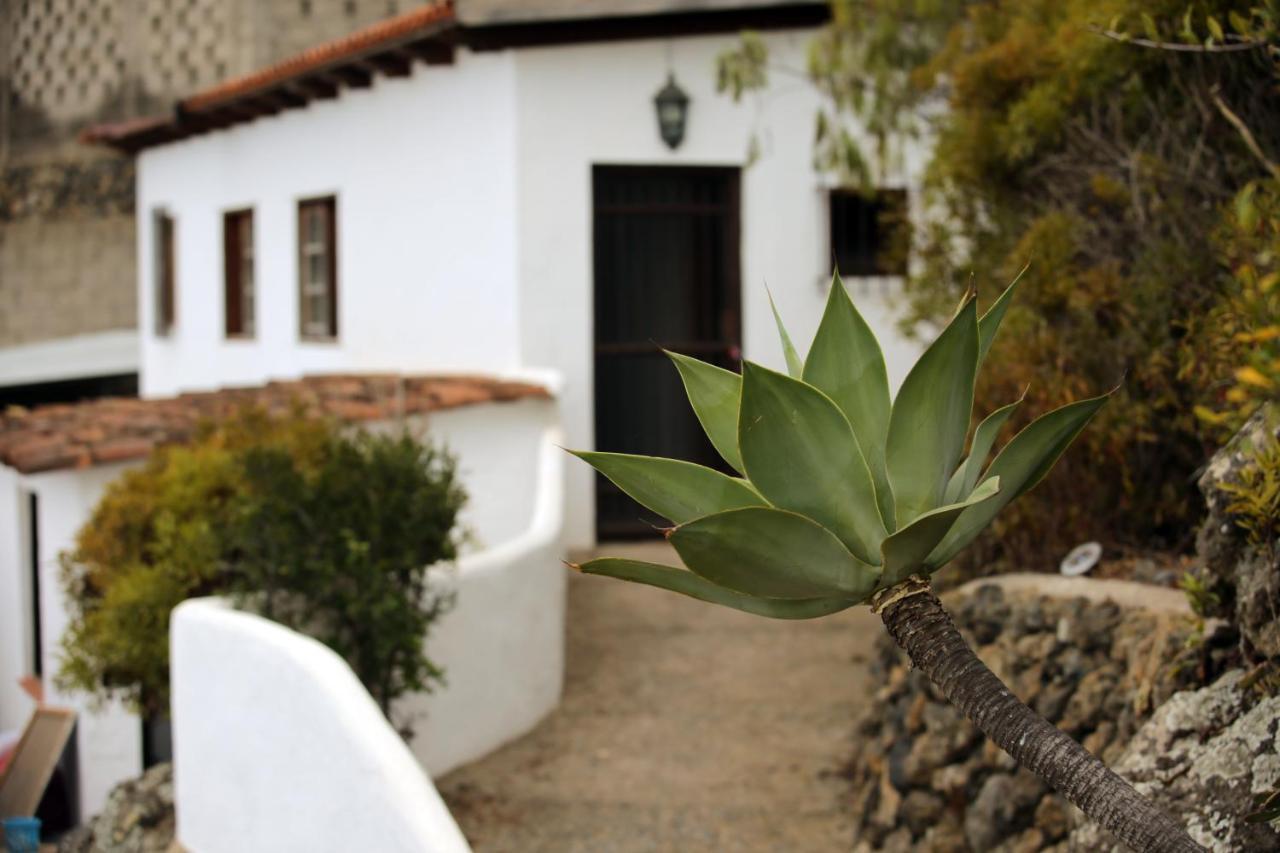Bella Vista - Finca Tabaiba Icod De Los Vinos Dış mekan fotoğraf