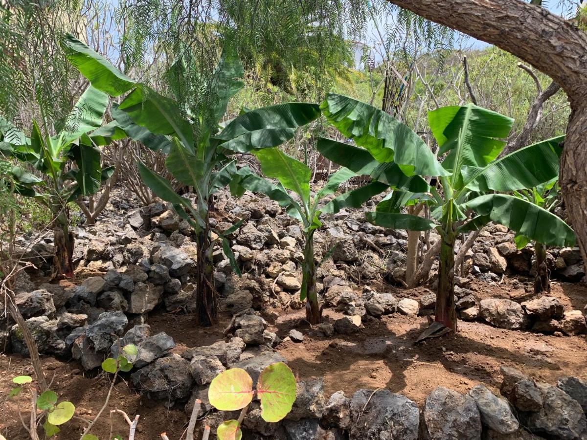 Bella Vista - Finca Tabaiba Icod De Los Vinos Dış mekan fotoğraf