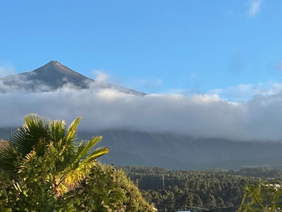 Bella Vista - Finca Tabaiba Icod De Los Vinos Dış mekan fotoğraf